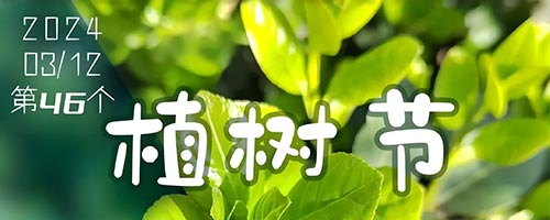 海乾威钢管丨“植”得一看    